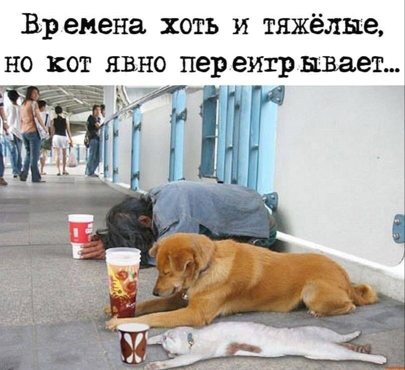 Каартинки весёлые и не очень