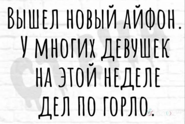 Субботние мысли