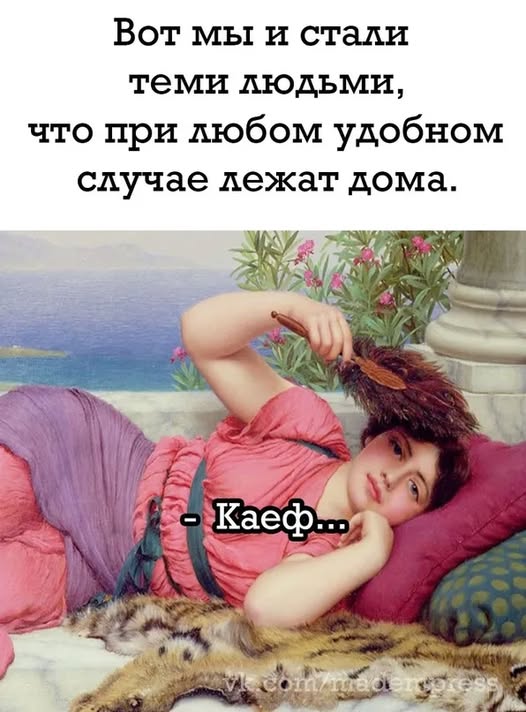 Так себе картинки 24.12.25