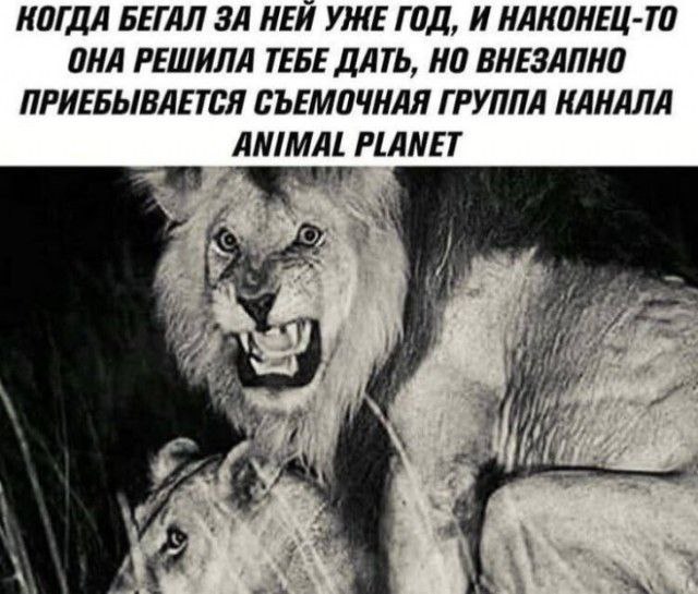 Мои избранные картинки часть 5