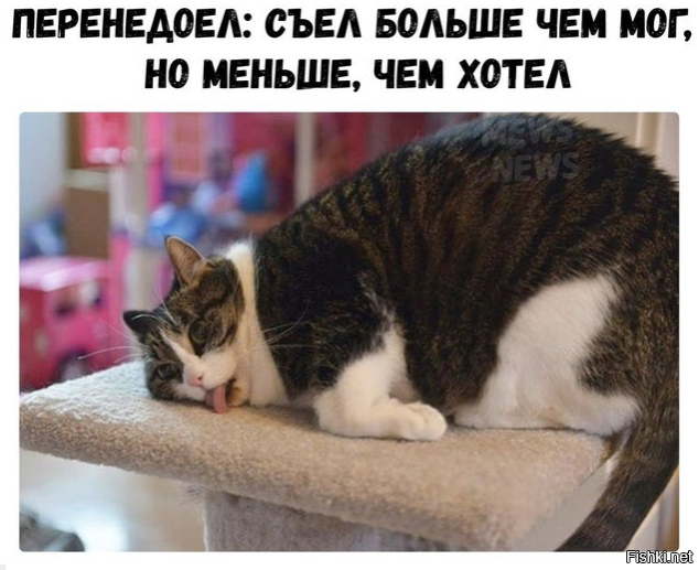 Картинки для деградации 168 (разной степени свежести)