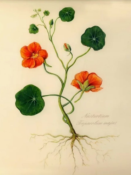 Заводятся дети, разводятся люди