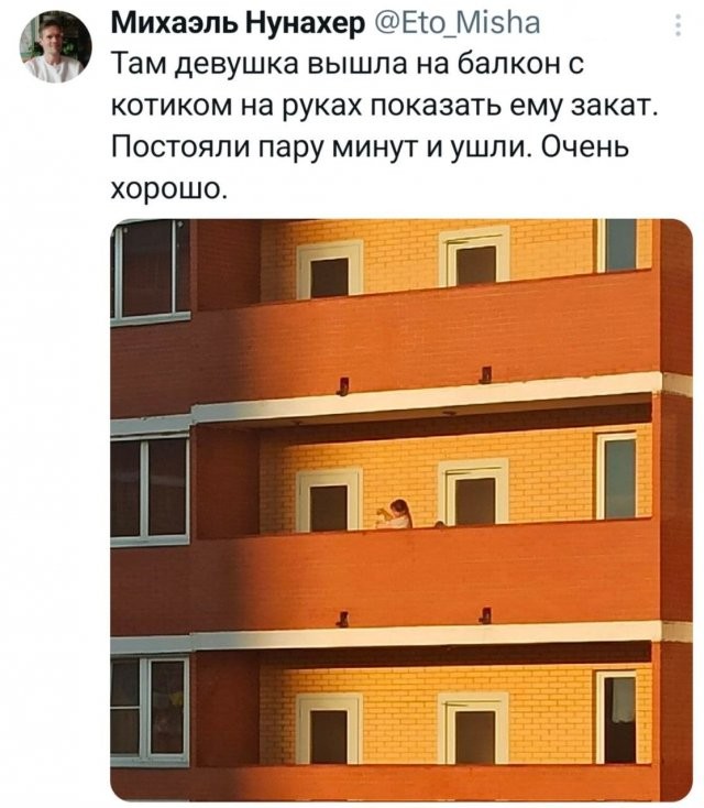 Так себе картинки 20.07.26