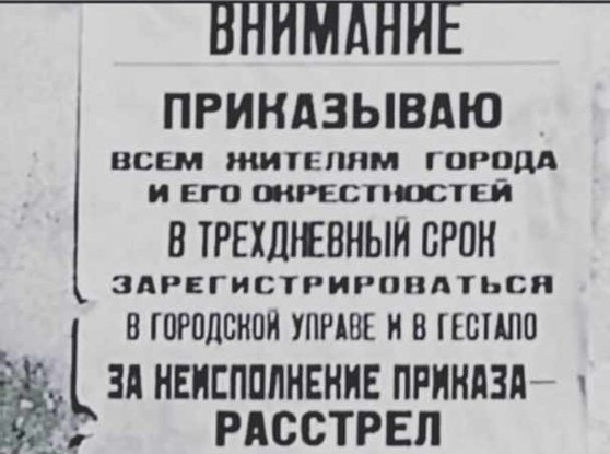 Блогерша из Подмосковья пришла в МФЦ с курицей, чтобы поставить её на учёт