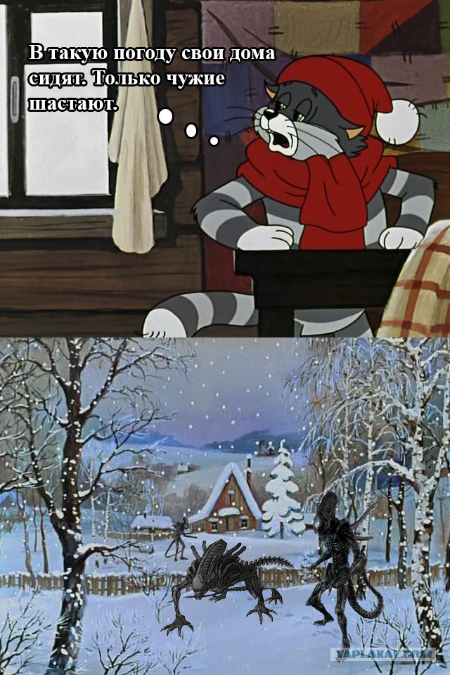 Теплый зимний лицехват