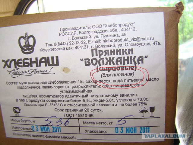Не оскудеет земля идиотами