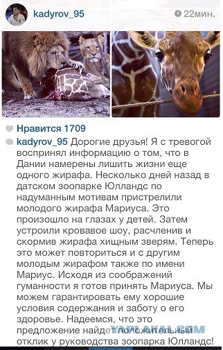 В зоопарке Копенгагена убили жирафа :(