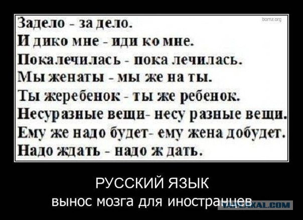 Комменты из соцсетей