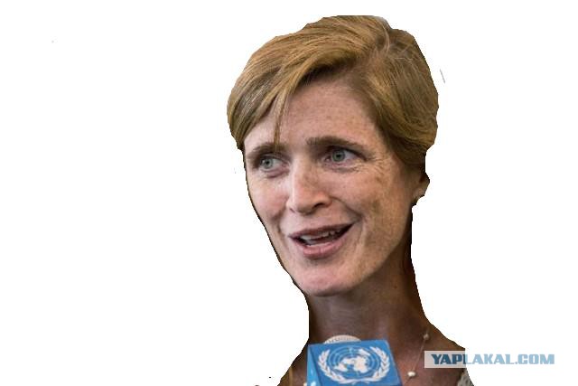 Саманта Пауэрс угрожала Виталию Чуркину