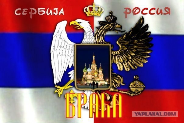 Россия и сербия братья