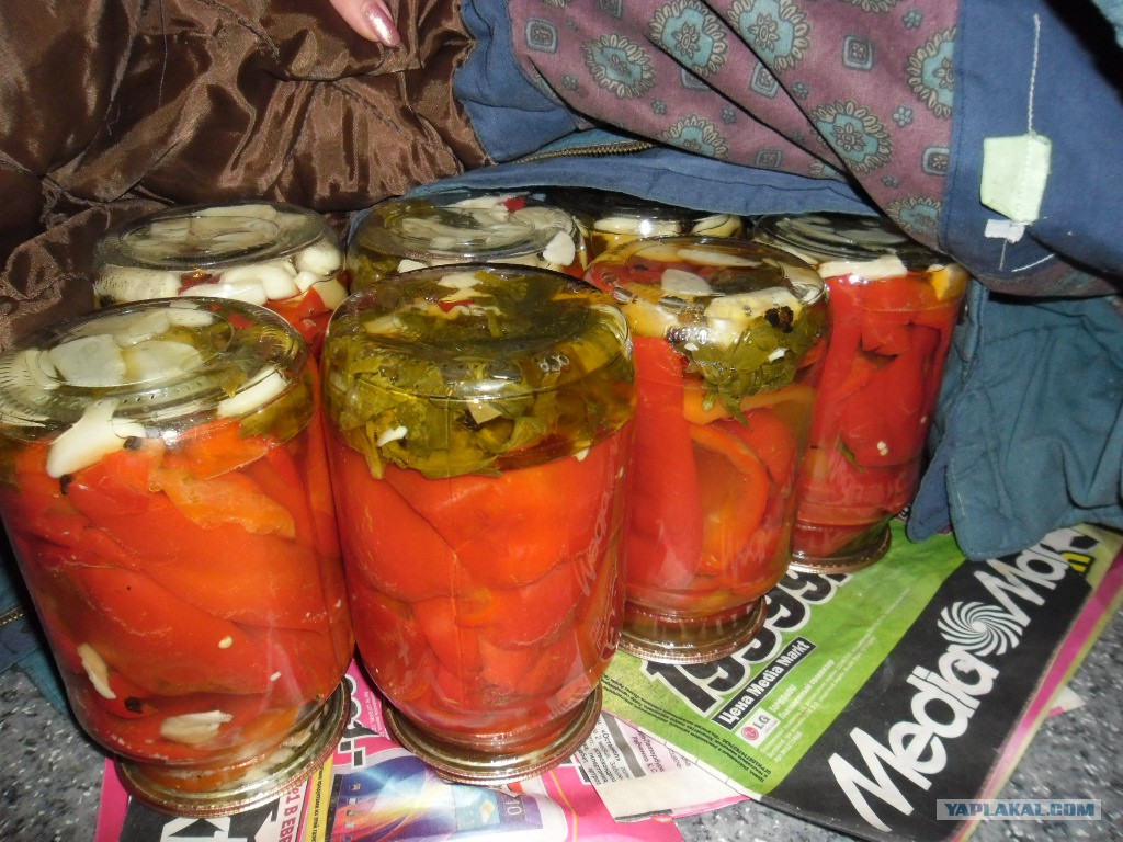 Перец с сельдереем на зиму. Маринованный сельдерей и перец.