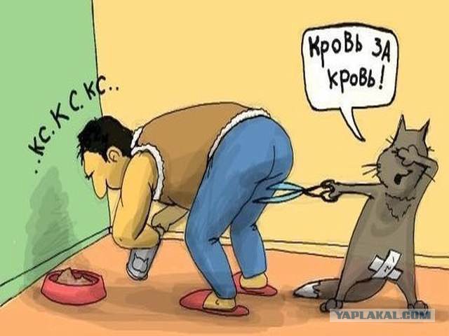 Смешные и не очень картинки из ВК