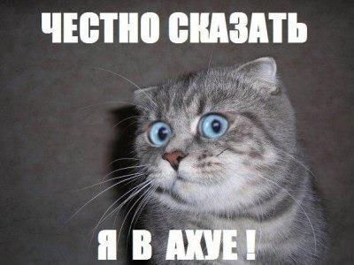 Снова Ахеджакова
