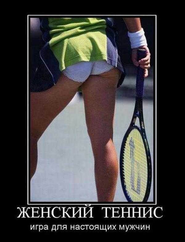 Картинки