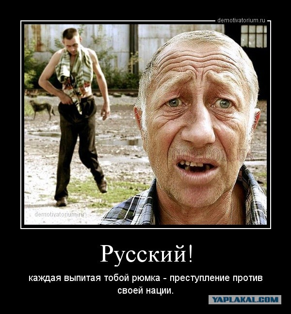 15 вещей о водке, которые необходимо знать