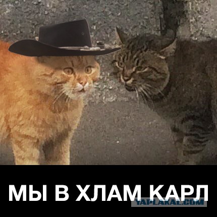 Выхожу я утром