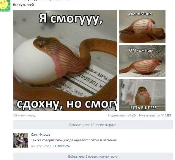 Веселости