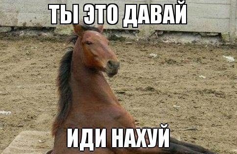 Ксения Собчак идет работать к Игорю Коломойскому