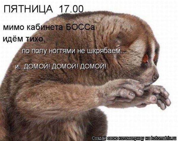 Лента анекдотов на пятницу 18.09.2015