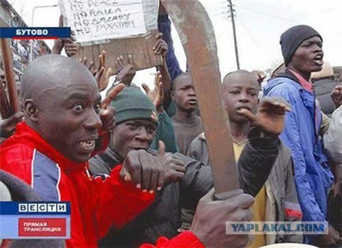 5 млн нелегалов станут гражданами