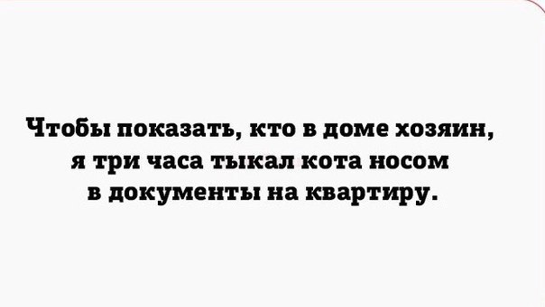 Картинки на пятницу