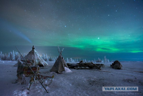 Просто картинки