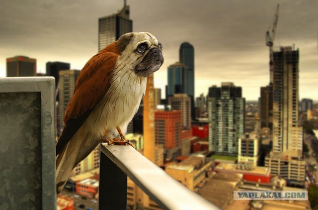 Сейчас таких уже нет...1 фото