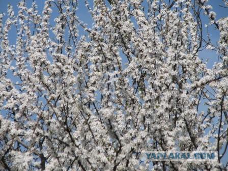 Гигантский портрет Гагарина появился на льду озера