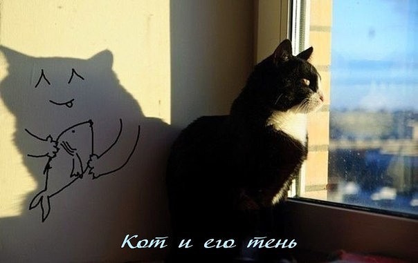 Интересные и смешные картинки!