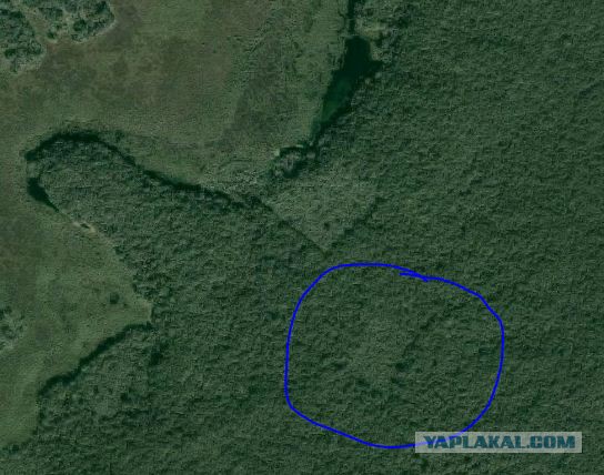 15-летний мальчик нашёл затерянный город майя по звёздной схеме