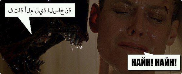 Россияне оказались самыми нетерпимыми к беженцам