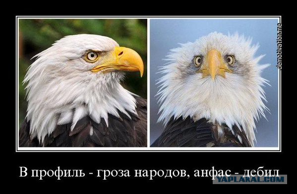 Настя едет в Россию!