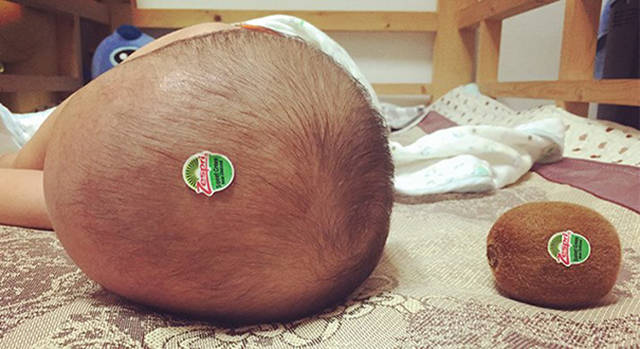 Папы такие папы