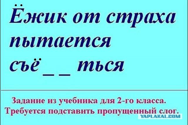 Смешные комментарии из социальных сетей 05.08.2016