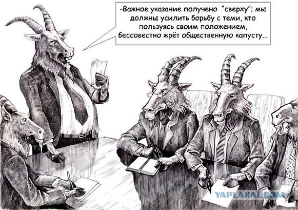 В Якутске предназначенный для детдомовцев торт-триколор съели чиновники