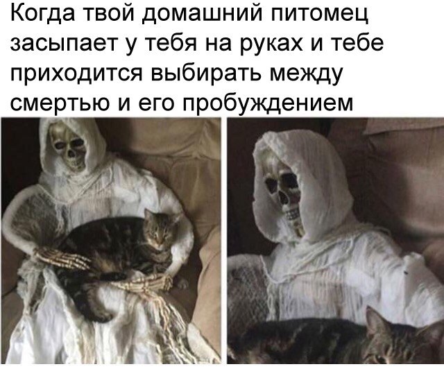 Картинки из интернетов