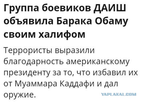 Подсмотрено на просторах