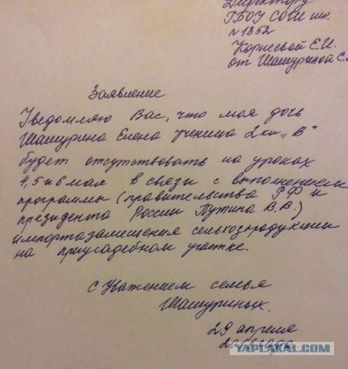 Нескучная жизнь:18 эпичных фотографий с интригующим сюжетом