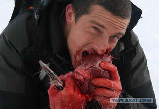 Ягдтерьеры давят крыс +16