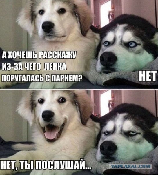 Когда ты усталый пришел с работы, а ей скучно