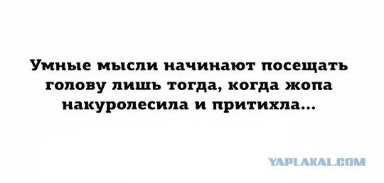 Картинки для улыбнуться в воскресенье