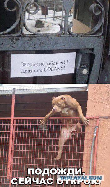 Журнал "Деградант" Перезагрузка! 16+