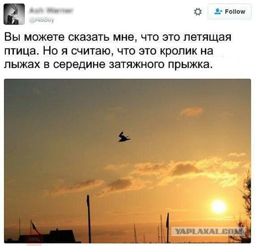Соцсети - и смех и грех