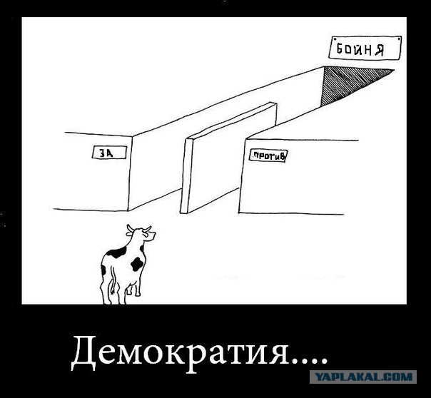 Министр культуры поставил на место Поклонскую