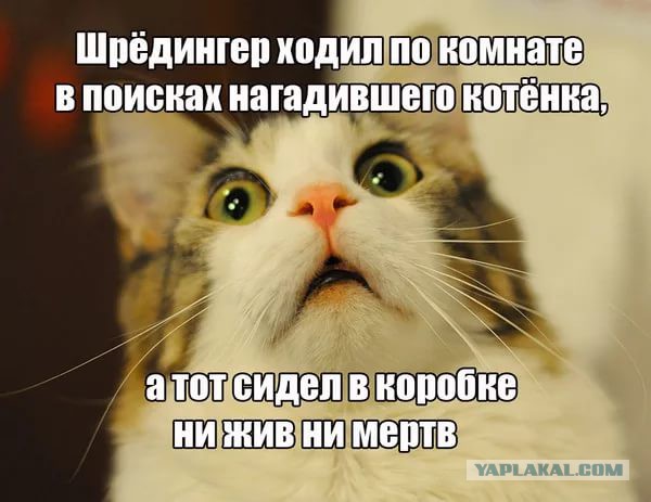 Австралийские физики доказали иллюзорность бытия
