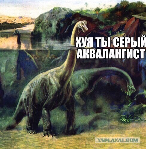 Ударная доза тупежа и лёгкой наркомании к выходным