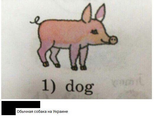 Нестандартный юмор