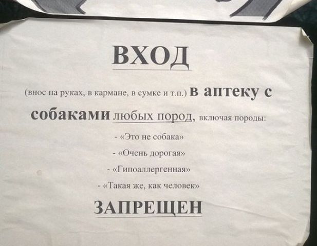 Немного картинок в эту субботу