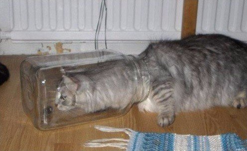 Немного милоты