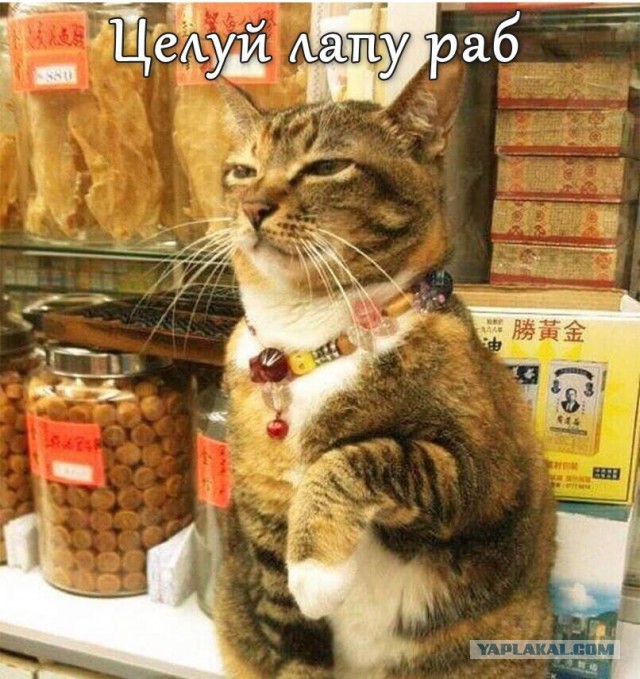 Вы кто такие? Я вас не звал!
